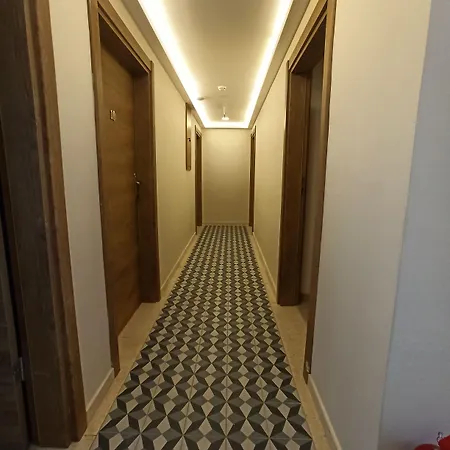 호텔 Mavi 알라카티