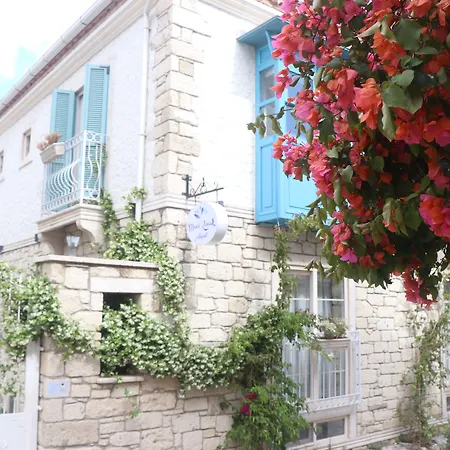 Hotel Mavi *
